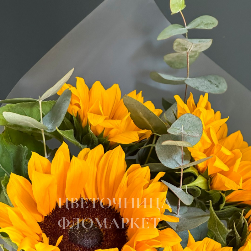 Яркое воспоминание 1