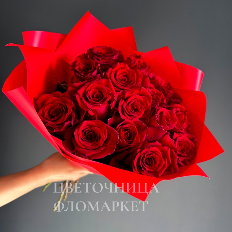 Солнечный зайчик