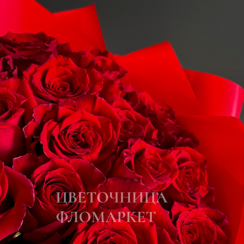 Солнечный зайчик 1