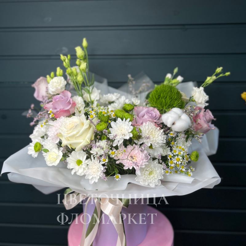 Северное  сияние 