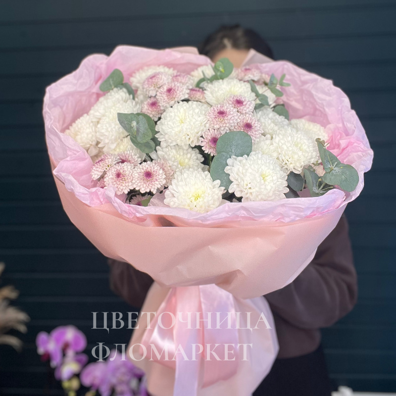 Нежное очарование белых хризантем