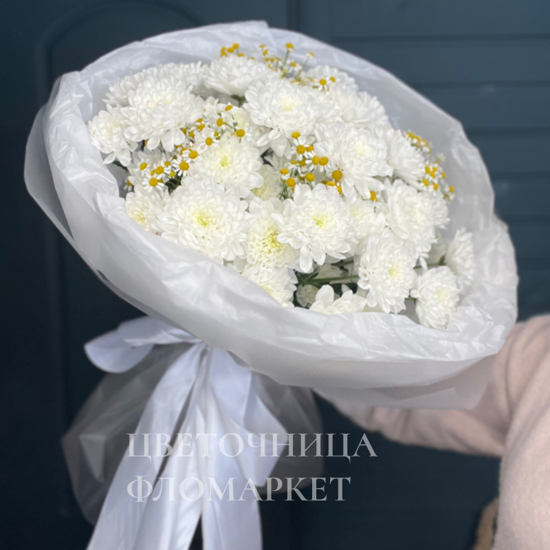 Снежная красота 1