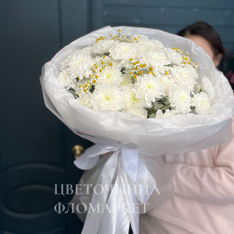 Снежная красота 2