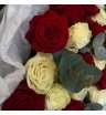 Королевские розы бело-красные 2