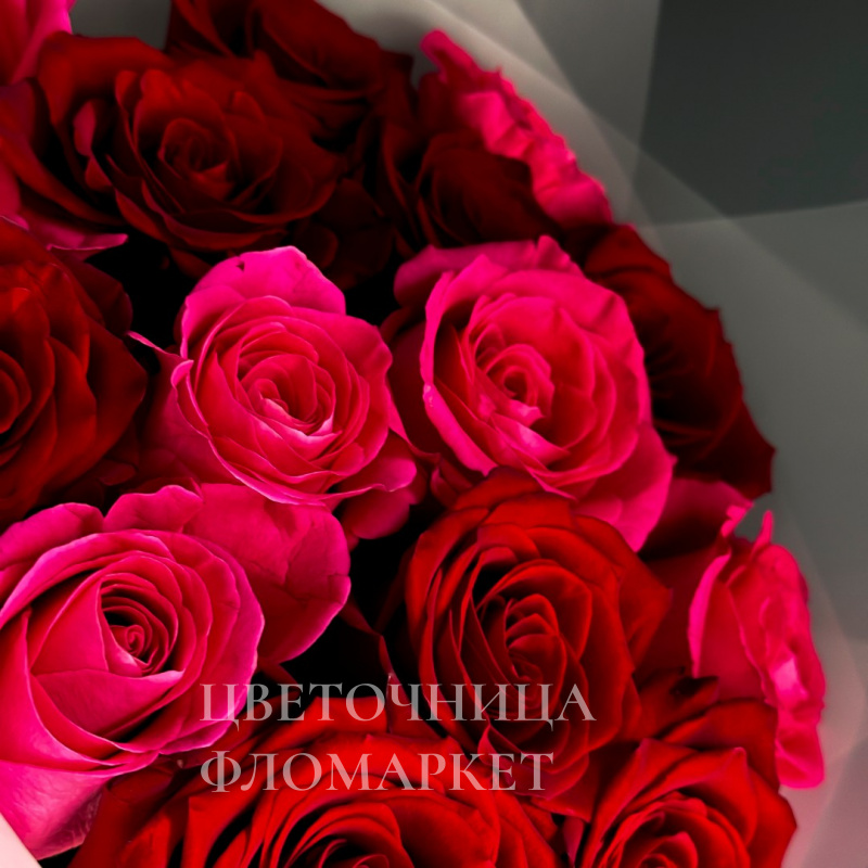 Комплимент души 1